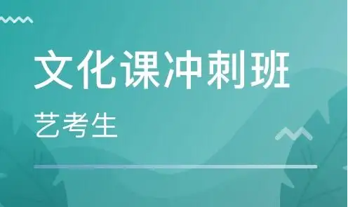 艺考高考文化课培训机构